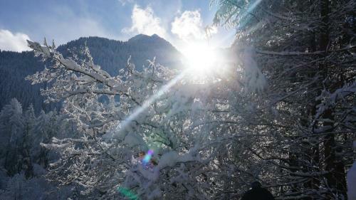 Apartamento Appartements Alpenblick