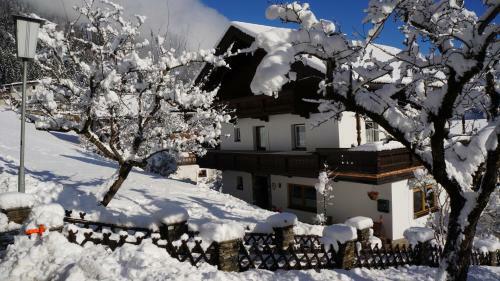 Apartamento Appartements Alpenblick
