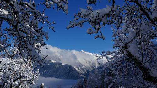 Apartamento Appartements Alpenblick