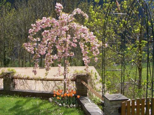 Apartamento Landhaus Seiringer