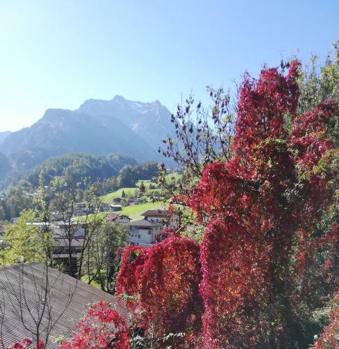 Apartamento Landhaus Seiringer