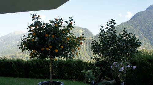 Apartamento Bergblick