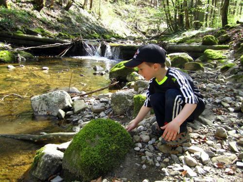 Agroturismo Baby- Und Kinderhof Aicherbauer