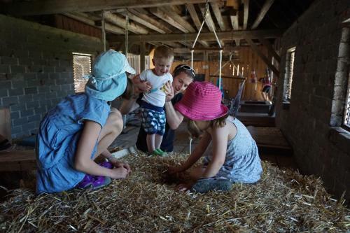 Hostal Familienbauernhof Salmanner