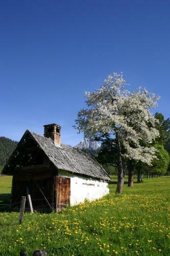Hostal Sonnhof