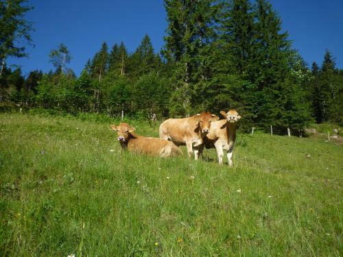 Agroturismo Forsterhof