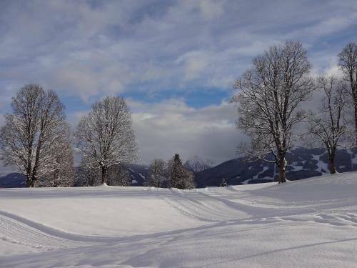 Hostal Wagnerhof
