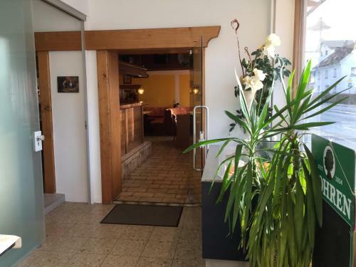 Hostal Pension-restaurant Wachter