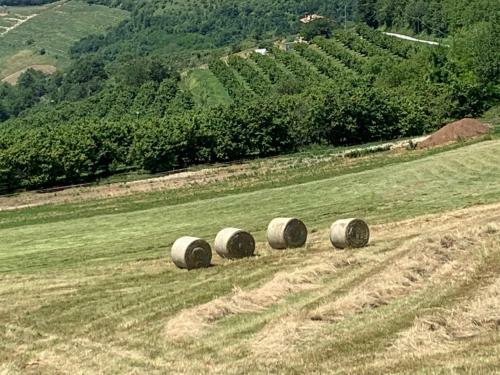 Bed & Breakfast La Luce Delle Colline