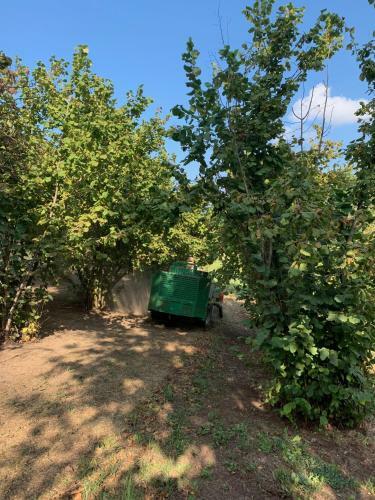 Bed & Breakfast La Luce Delle Colline