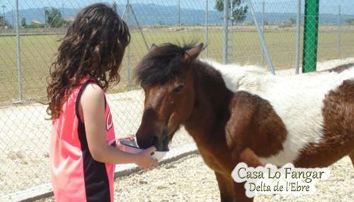 Apartamento Casa Lo Fangar - Delta De L'ebre - Casa Gran