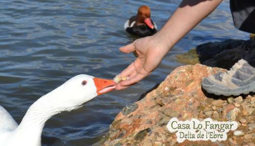 Apartamento Casa Lo Fangar - Delta De L'ebre - Casa Gran