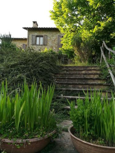 Agroturismo Casale Giuncheto