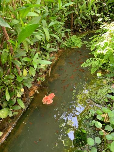 A Day In Lukang Homestay