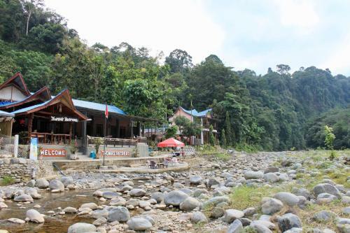 Hostal Thomas' Retreat Bukit Lawang