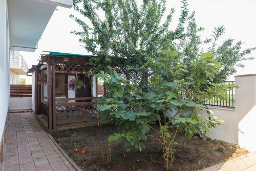 Hostal Vila Ara