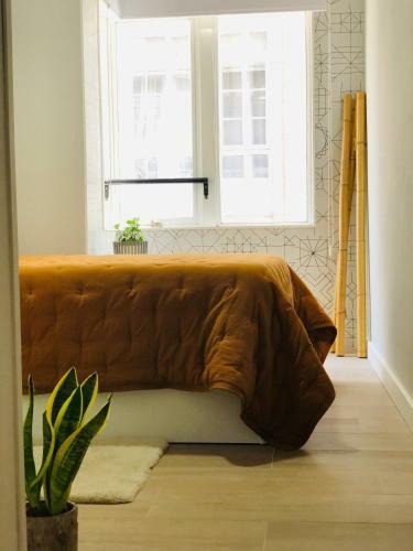 Apartamento Peregrina Blue Family Suite