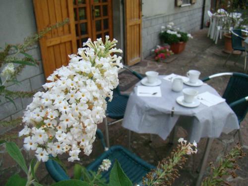 Hostal Il Canale Dei Mulini