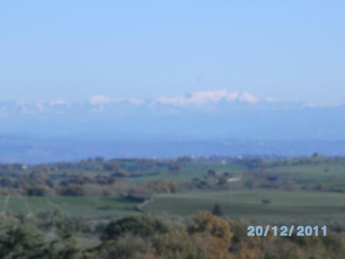 Bed & Breakfast I Tulipani Olandesi