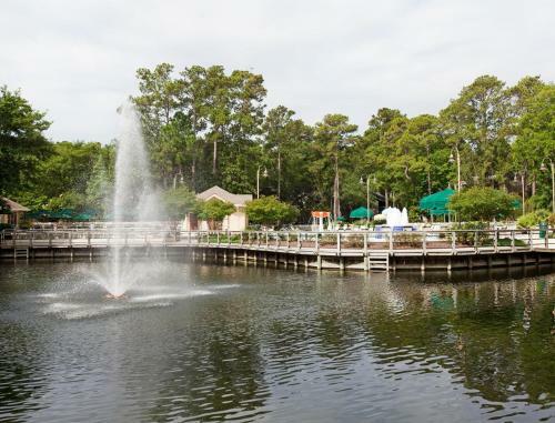 Apartamento Spacious And Immaculate Villa In Hilton Head Island - Two Bedroom #1