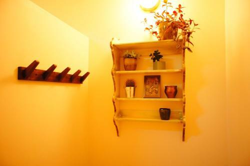 Bed & Breakfast La Maison Verte Albi