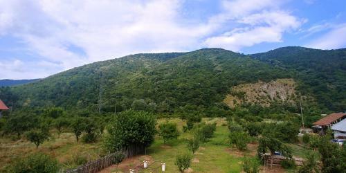 Hostal Casa Giulia