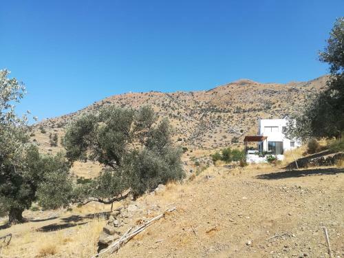 Apartamento Sea Breeze Ecological Villa