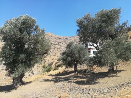 Apartamento Sea Breeze Ecological Villa