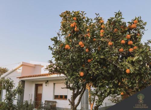 Casa Das Laranjeiras