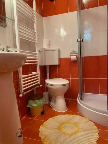 Hostal Pensiunea Ioana Mariana