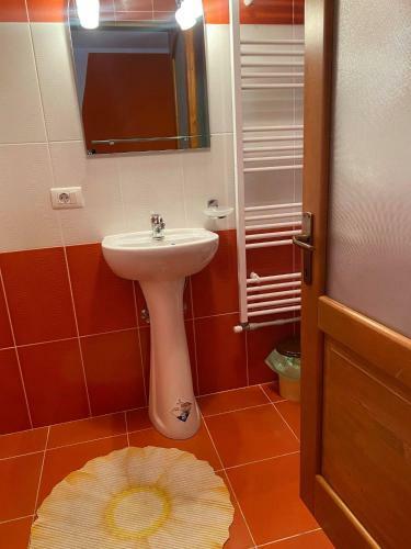 Hostal Pensiunea Ioana Mariana
