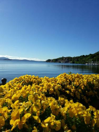 Serenity Cottage Baveno
