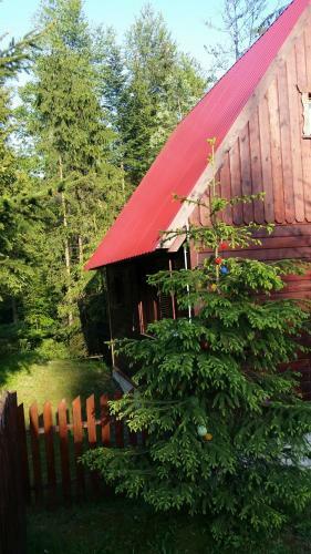 Lodge Chatka Nad Strumieniem