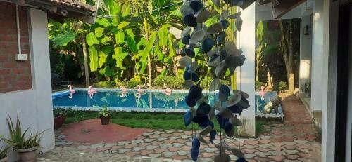 Om Gravity Resort