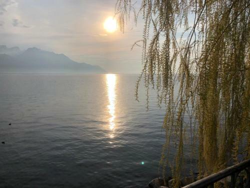 Chambre Riviera Montreux