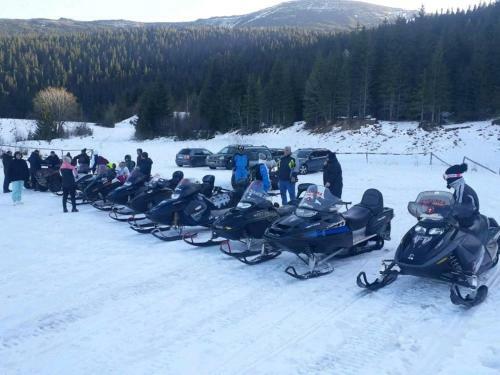 Hostal Pensiunea Off Road Calimani