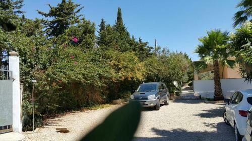 Bouganville