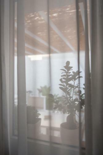 Bed & Breakfast B.&.b Maison La Dama