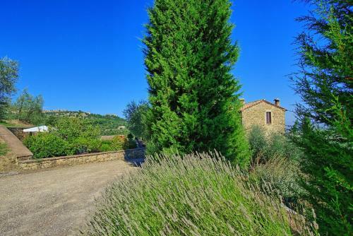 Tenuta Canina