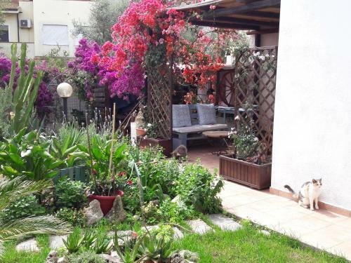Bed & Breakfast Angolo Verde