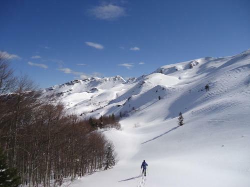 Apartamento Mansarda In Montagna