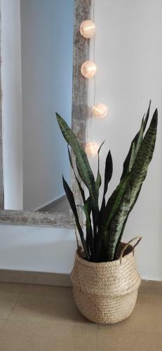 Apartamento Casa Ariz�n