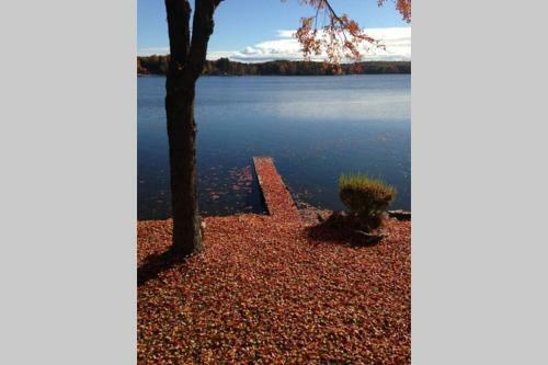 Sunrise Cottage On Galway Lake