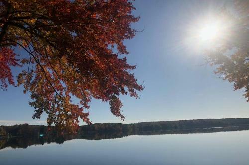Sunrise Cottage On Galway Lake