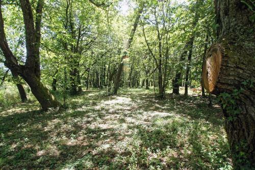 Etoile D'isis, Gites A La Ferme