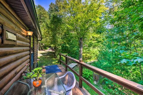 Scenic Spring Mills Escape Swim, Fish, Hike!