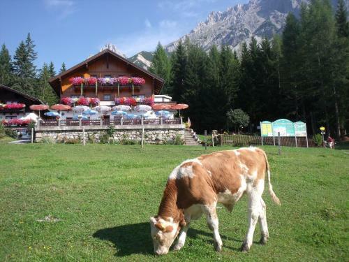Posada Gasthof Edelbrunn