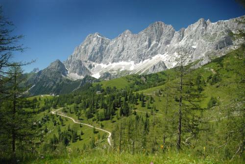 Alpenblick Apartments