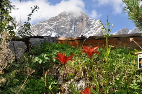 Hostal Gasthof Hunerkogel