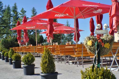 Hostal Gasthof Hunerkogel